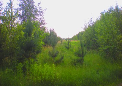 działka na sprzedaż - Opole Lubelskie (gw), Jankowa