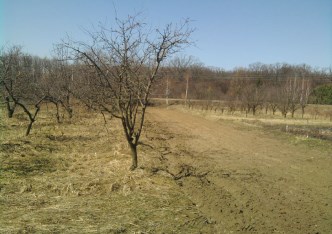 działka na sprzedaż - Lublin, Wrotków, Stary Gaj