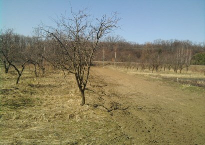 działka na sprzedaż - Lublin, Wrotków, Stary Gaj